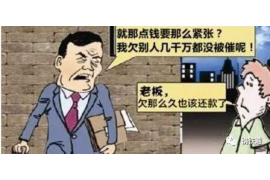 嘉鱼专业要账公司